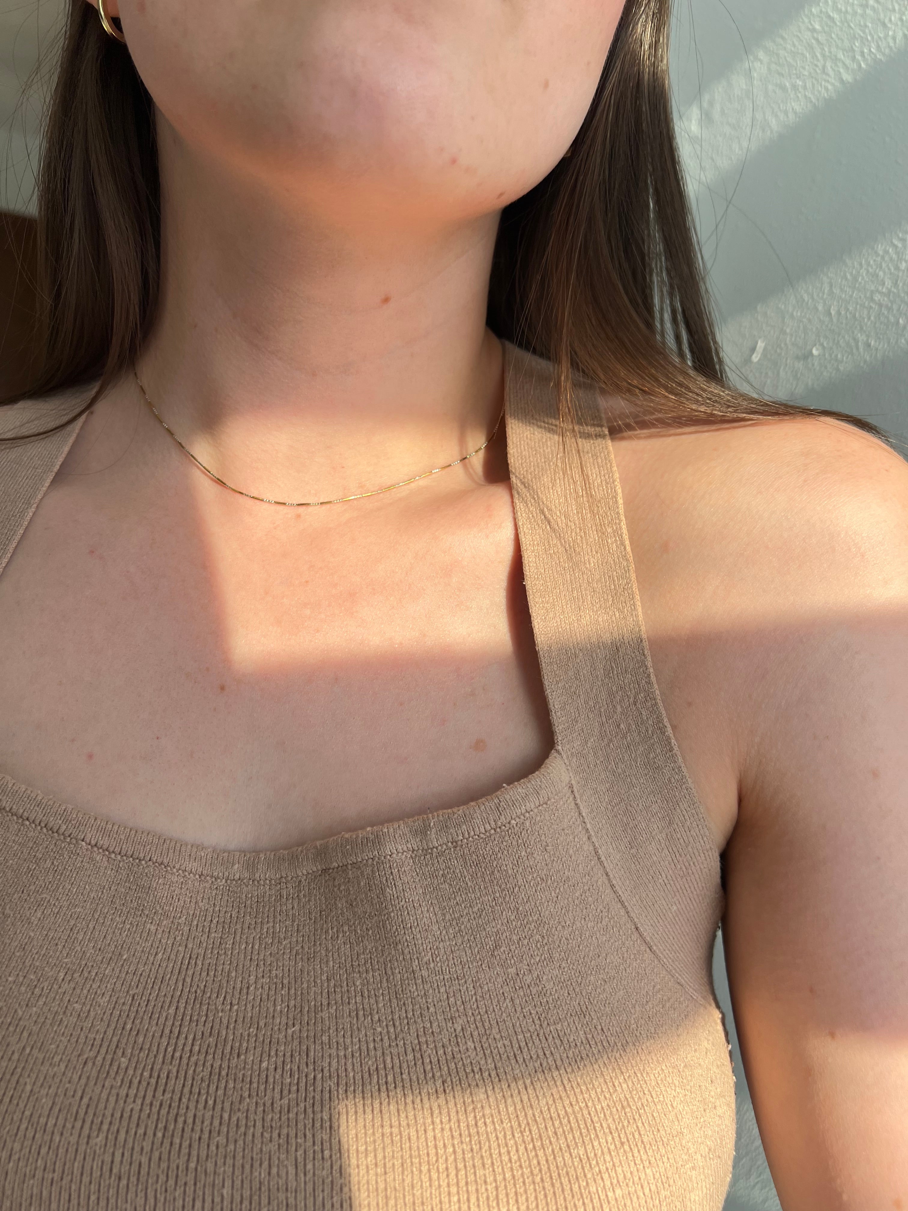 Silver and Golden Necklace